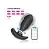 Swing – Telefon Kontrollü Titreşimli Anal Plug